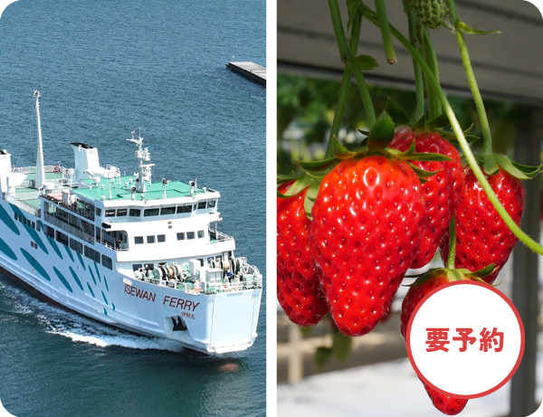 いちご食べ放題！伊良湖菜の花パック